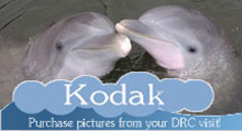 Click here to purchase pictures from your DRC visit