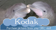 Click here to purchase pictures of your DRC visit