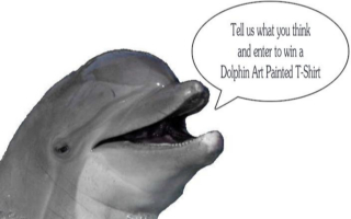 Take the Dolphin Research Center Survey and enter to win a Dolphin Art Painted T-Shirt