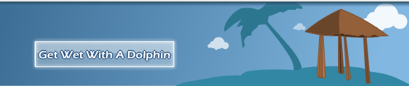 Get Wet With A Dolphin