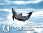 DRC 2009 Calendars are here
