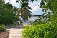 Dolphin Lab, water view