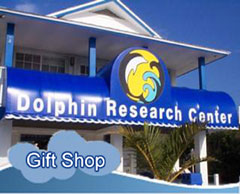 Dolphin Research Center Gift Shop