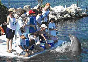 Students meet the dolphins