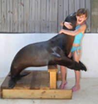 Hug a Sea Lion