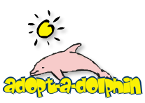 adopt a dolphin