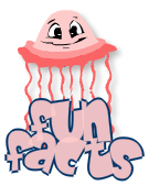fun facts