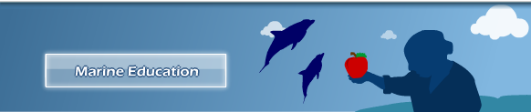 Marine education, schools and universities