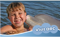 boy swimming with dolphins