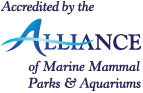 Accredited by alliance of marine mammal parks and aquariums