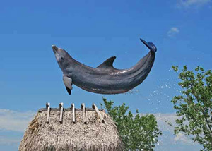 Dolphin flipping in air