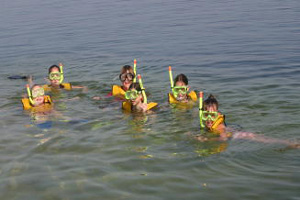 snorkelers