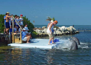 students with dolphins