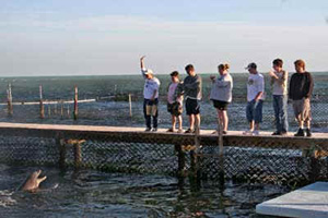 students with dolphins
