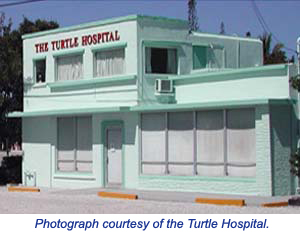 Photograph courtesy of the Turtle Hospital.