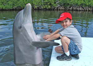 Boy in red hat playing with dolphin