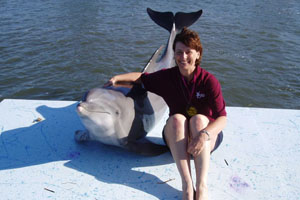 Dolphin and friend